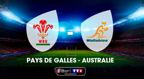 Billet Match Coupe Du Monde Rugby 1991 – Pays De Galles V Australie – 12/10/1991