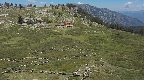 GRLessecretsdelaCorse.jpg GRLessecretsdelaCorse.jpg