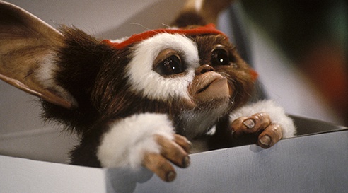 Gizmo, le Gremlins toujours aussi mimi, est ce soir sur TF1